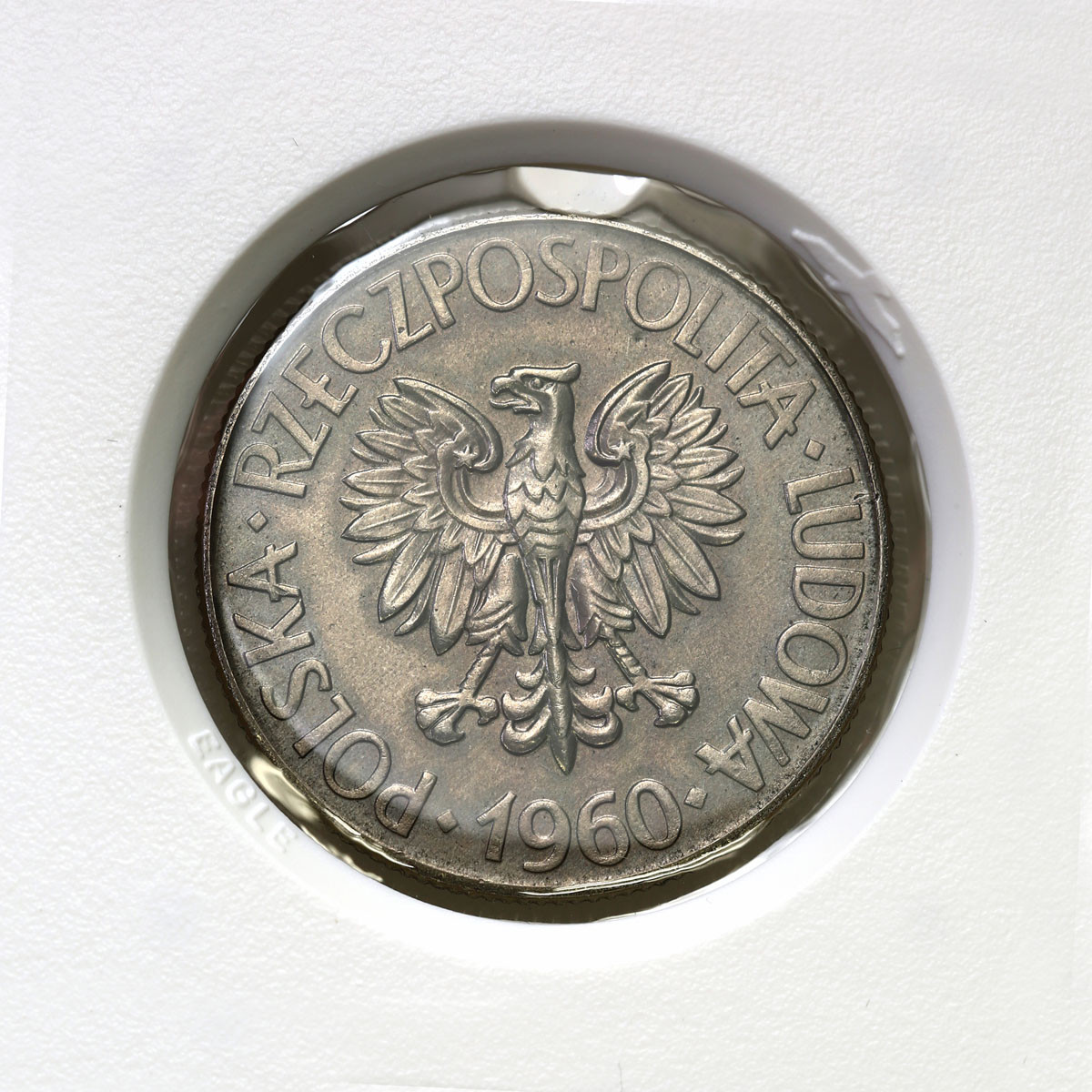 PRL. PRÓBA Nikiel 10 złotych 1960 – Tadeusz Kościuszko